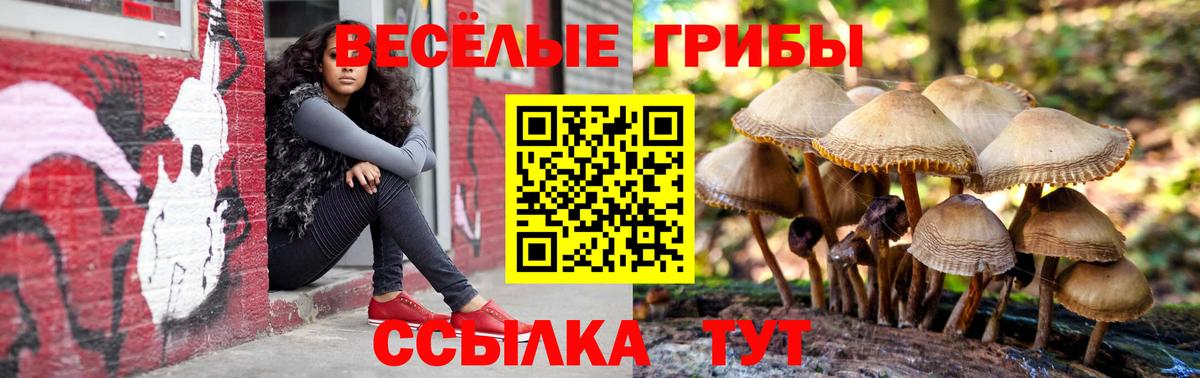 Псилоцибиновые грибы мухоморы  Псилоцибиновые грибы MAGIC MUSHROOMS  Лабинск  Вход с VPN 